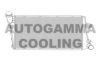 LDV 52492848 Intercooler, charger